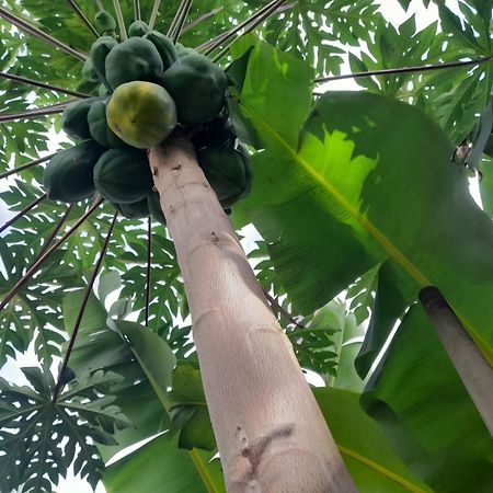Splanada Poilon Hotel Assomada Bagian luar foto