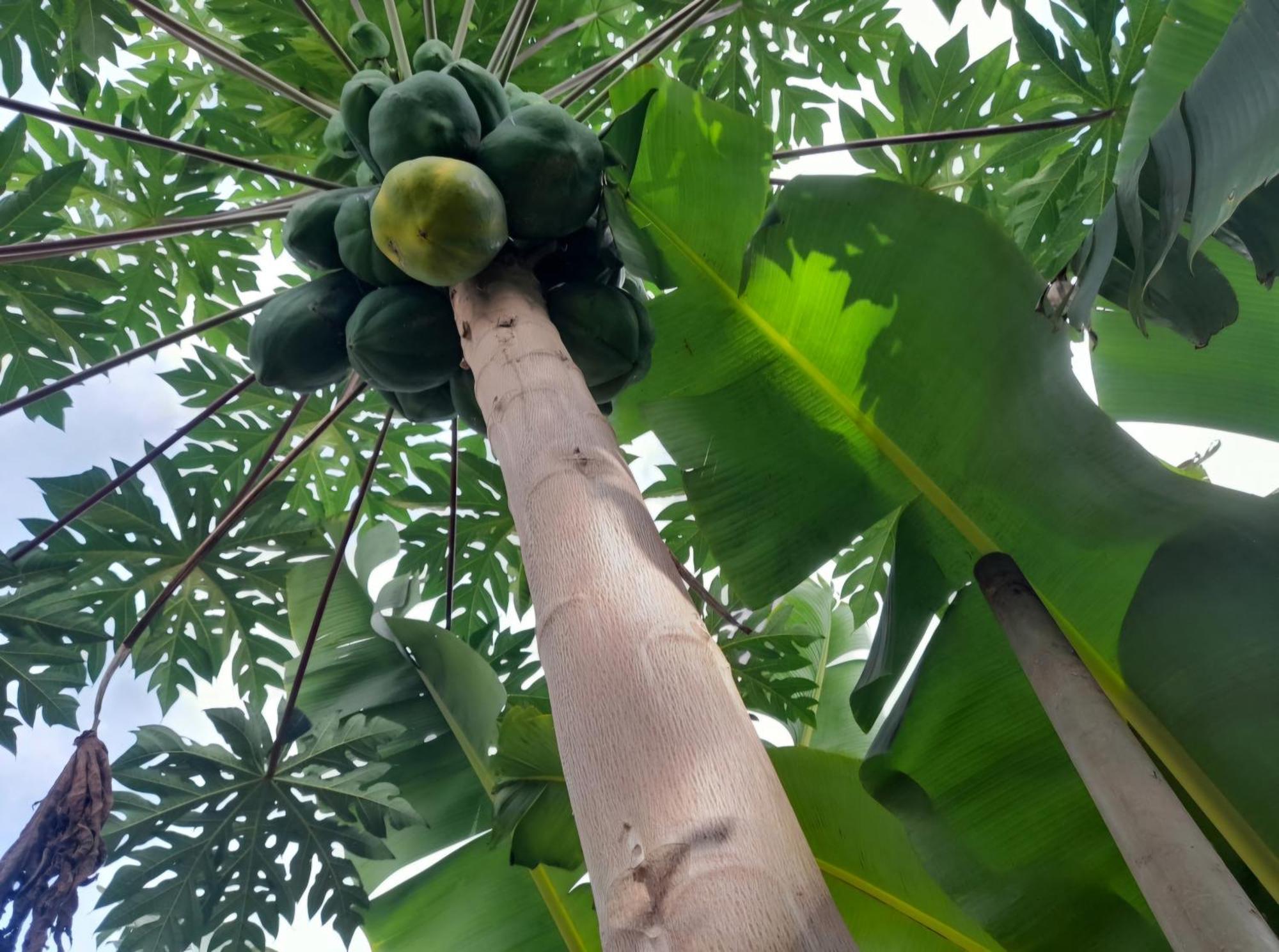 Splanada Poilon Hotel Assomada Bagian luar foto
